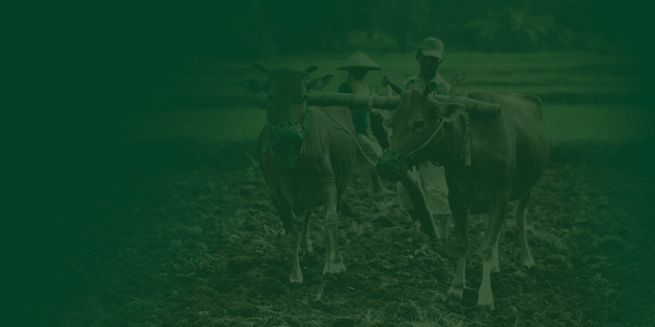 Ethiopian farmers using climate-smart technology